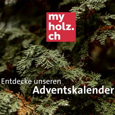 Weihnachtlicher Adventskalender-Tipp Nahaufnahme von Tannenzweigen mit einem myholz.ch-Logo und dem Text 'Entdecke unseren Adventskalender'.
