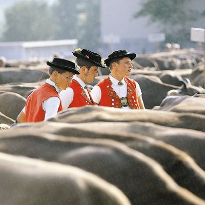 Drei Männer in traditioneller Kleidung bei einer Viehschau.