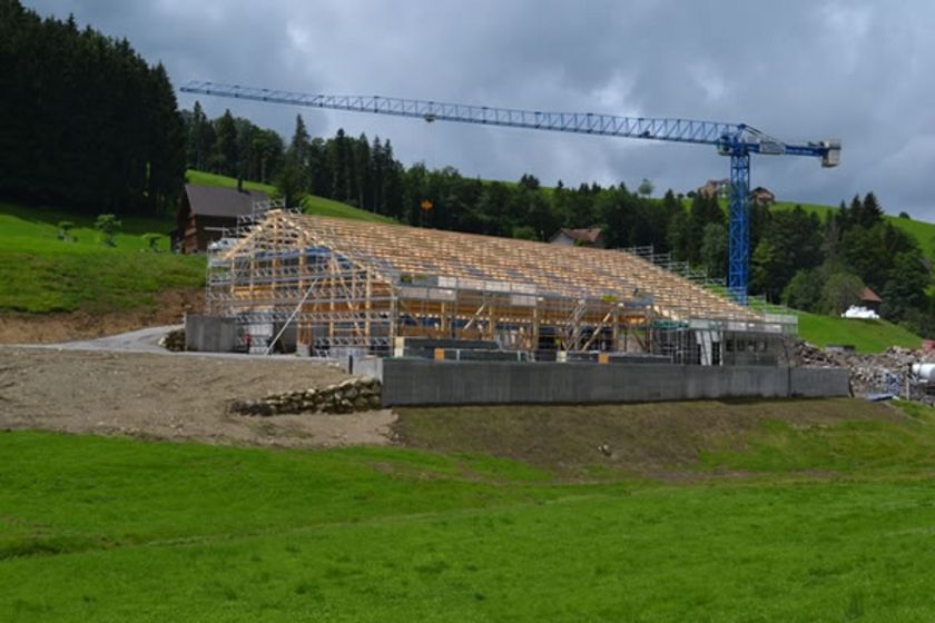 Holzbau-Projekt mit Kran auf einer grünen Wiese in ländlicher Umgebung.