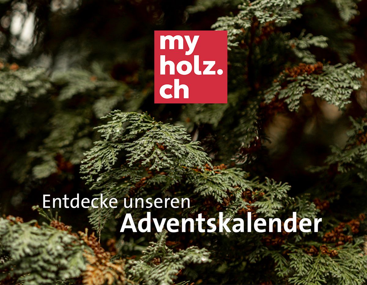 Weihnachtlicher Adventskalender-Tipp Nahaufnahme von Tannenzweigen mit einem myholz.ch-Logo und dem Text 'Entdecke unseren Adventskalender'.
