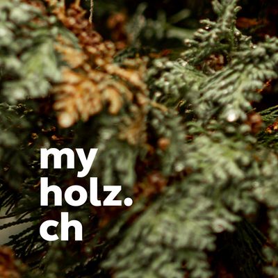 Nahaufnahme von Tannenzweigen mit der Aufschrift 'Heutiges Türchen öffnen' und 'myholz.ch'.