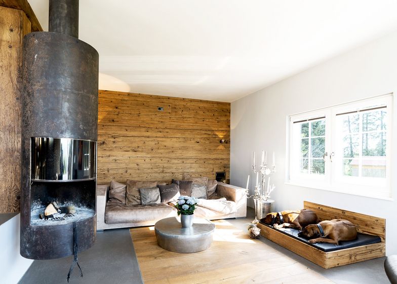 Gemütliches Wohnzimmer mit Holzverkleidung, Kamin, Sofa und schlafenden Hunden auf einem Holzbett.