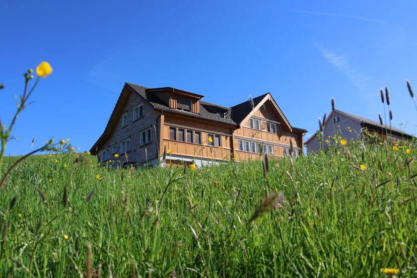 Traditionelles Holzhaus in blühender Wiese bei klarem Himmel.