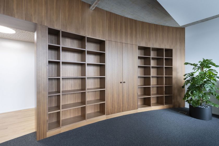Elegantes Holzregal mit integrierter Tür und Pflanze in modernem Innenraum.