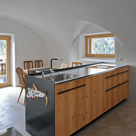 Moderne Küche mit Holzverkleidung und Ausblick ins Grüne.
