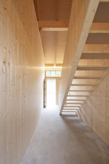 Moderner Innenraum mit Holzverkleidung und Treppe in natürlicher Beleuchtung.