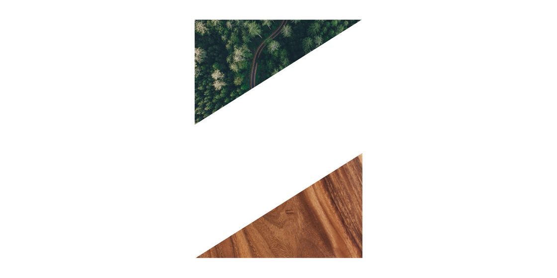 Zweiteiliges Bild mit Waldansicht und Holzmuster.