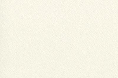 Swiss Krono Verbundplatte 19,4 mm SwissSpan P2 18mm beidseitig belegt U566 SM White (25/Pal.)