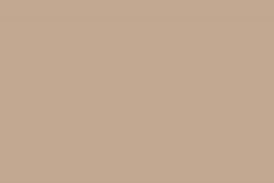 FunderMax ABS-Kanten 23/0,8mm 0319 FH Cappuccino Rolle a 75 m1