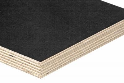 Sperracolor Birke Schwarz 9mm 2-seitig Phenolharzfilm glatt BFU100 (65/Pal.)