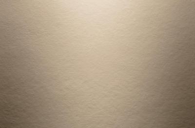HardiePanel Glatt Faserzementtafel Khakibraun (25/Pal.)