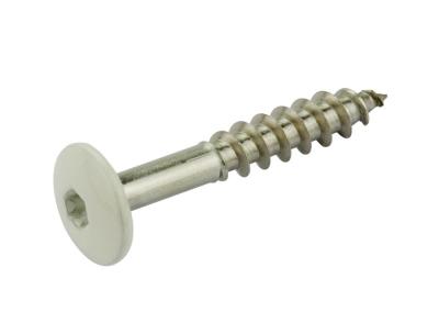 Fassadenschrauben T20 Rostfrei A2 4,8x38mm (100 Stk/Pak) passend zu Inox blank