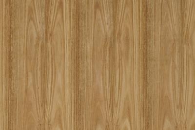 Furnier Express Fixmass Eucalyptus Gegenzug ohne Vlies Stärke 0,6 mm