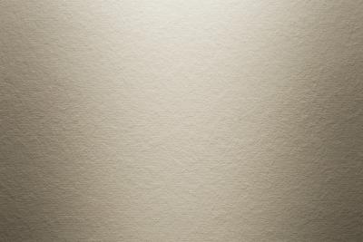 HardiePanel Glatt Faserzementtafel Cashmere (25/Pal.)