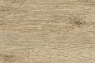 Kaindl Kante zu Worktops Arbeitsplatten ABS Kante ohne Schmelzkleber K4420 AW Eiche Evoke Classic