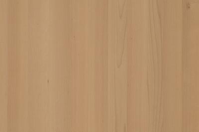 Furnier Express Fixmasse Buche 0,9 mm - A Qualität