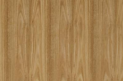Furnier Express Fixmasse Eucalyptus 0,9mm Gegenzug ohne Vlies