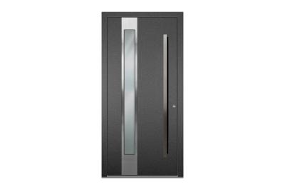 Rieder-Haustüre ca. DB 703 PF 24/13 Aussen Stock ca.DB 703 PF, Glas satinier