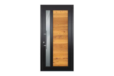 Rieder-Haustüre RT-TOP Kollek. 24/RT-08 Alteiche, Glas Satinato, Stock RAL 9005