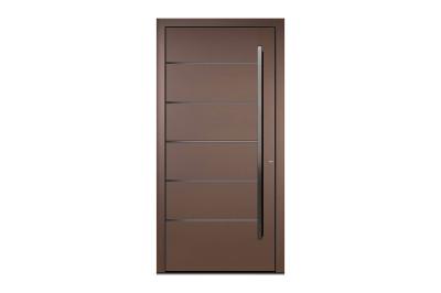 Rieder-Haustüre RT-TOP Kollek. 24/RT-22 Mit Edelstahllisenen, Stock Rost. Eisen