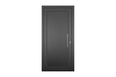 Rieder-Haustüre RT-TOP Kollek. 24/RT-27 DB 703 PF, Stock DB 703 PF
