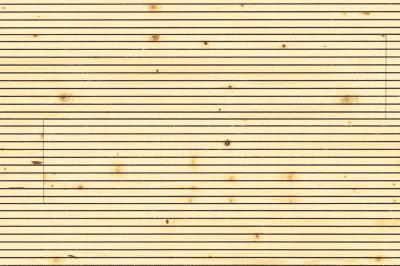 Admonter Acoustic Premium Deckensegel Fichte basic gebürstet Typ A weiss natur geölt