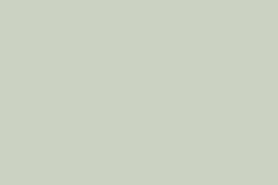 Formex Nischenrückwandplatte 8mm Wasserfeste Trägerplatte belegt mit SF 3842 Pastellgrün Matt