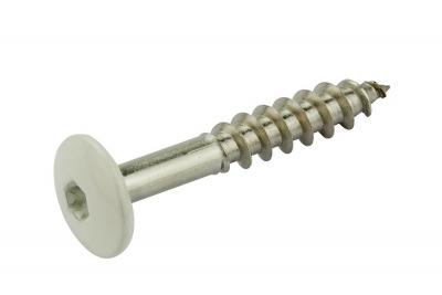 FunderMax Fassadenschr.T20 Rostfrei A4 5,5x35mm mit Kopflackierung(100 Stk/Pak) 0027 Prado Achatgrau